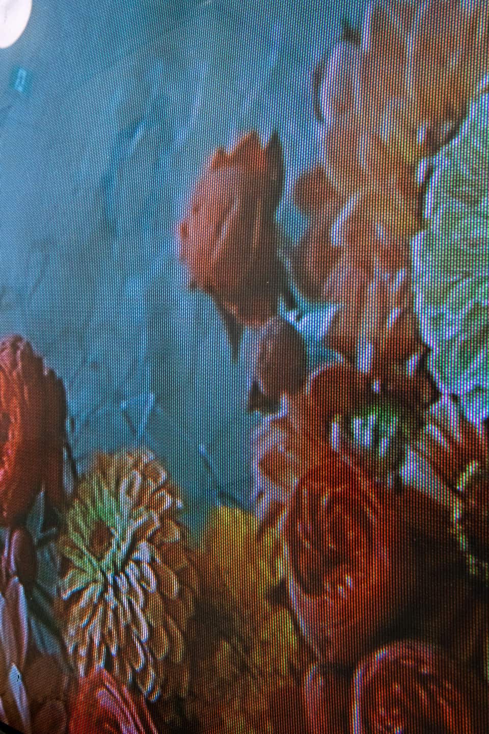 Peculiar Movements/Green Junctions at NAMARA projects